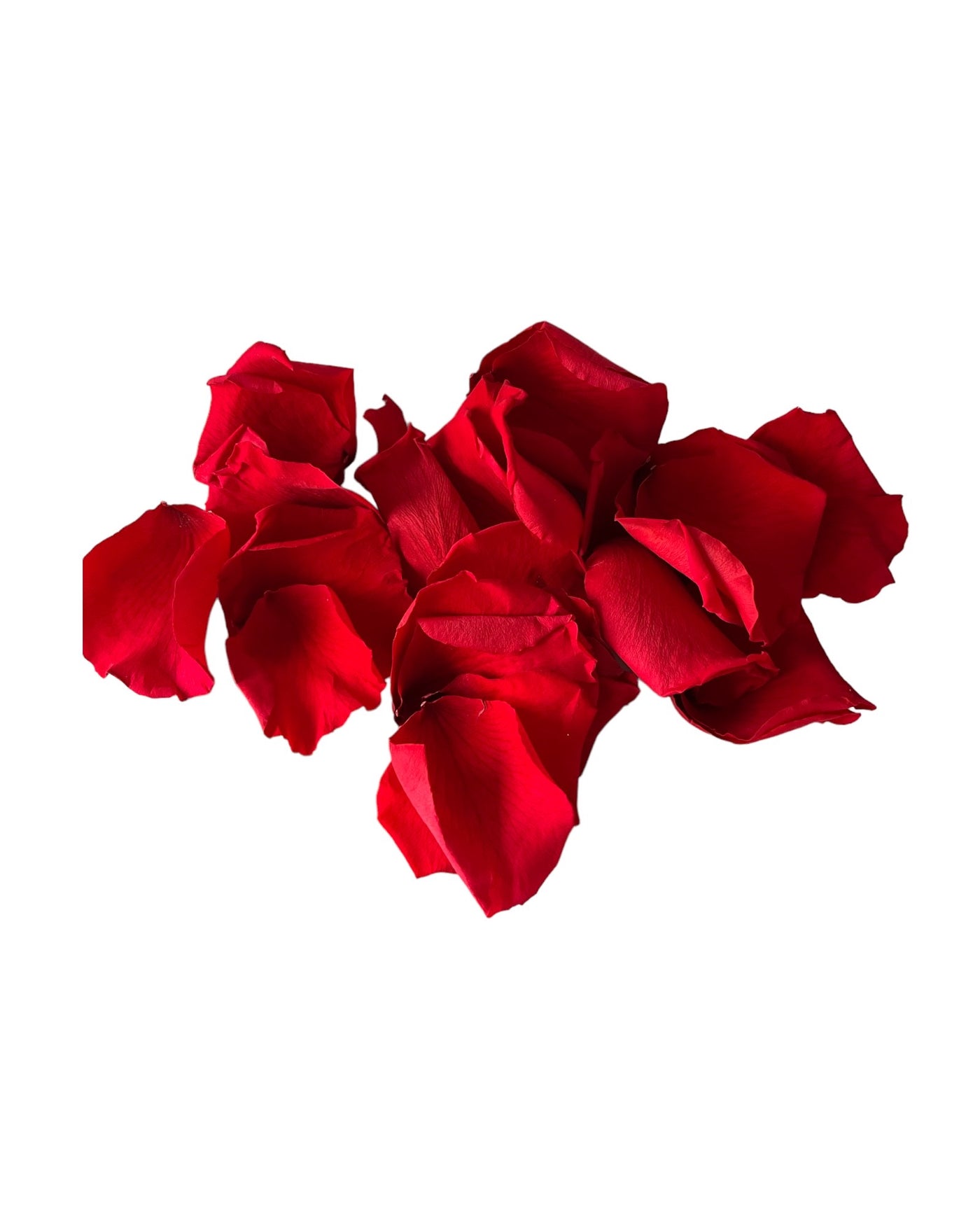 Pétalas de rosas