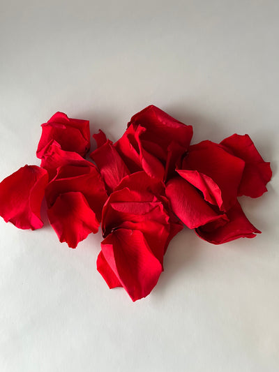 Pétalas de rosas