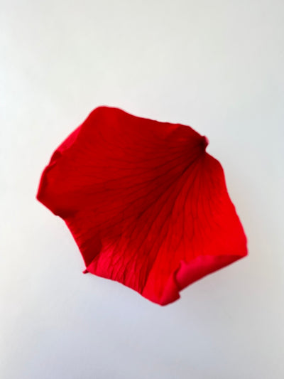 Pétalas de rosas